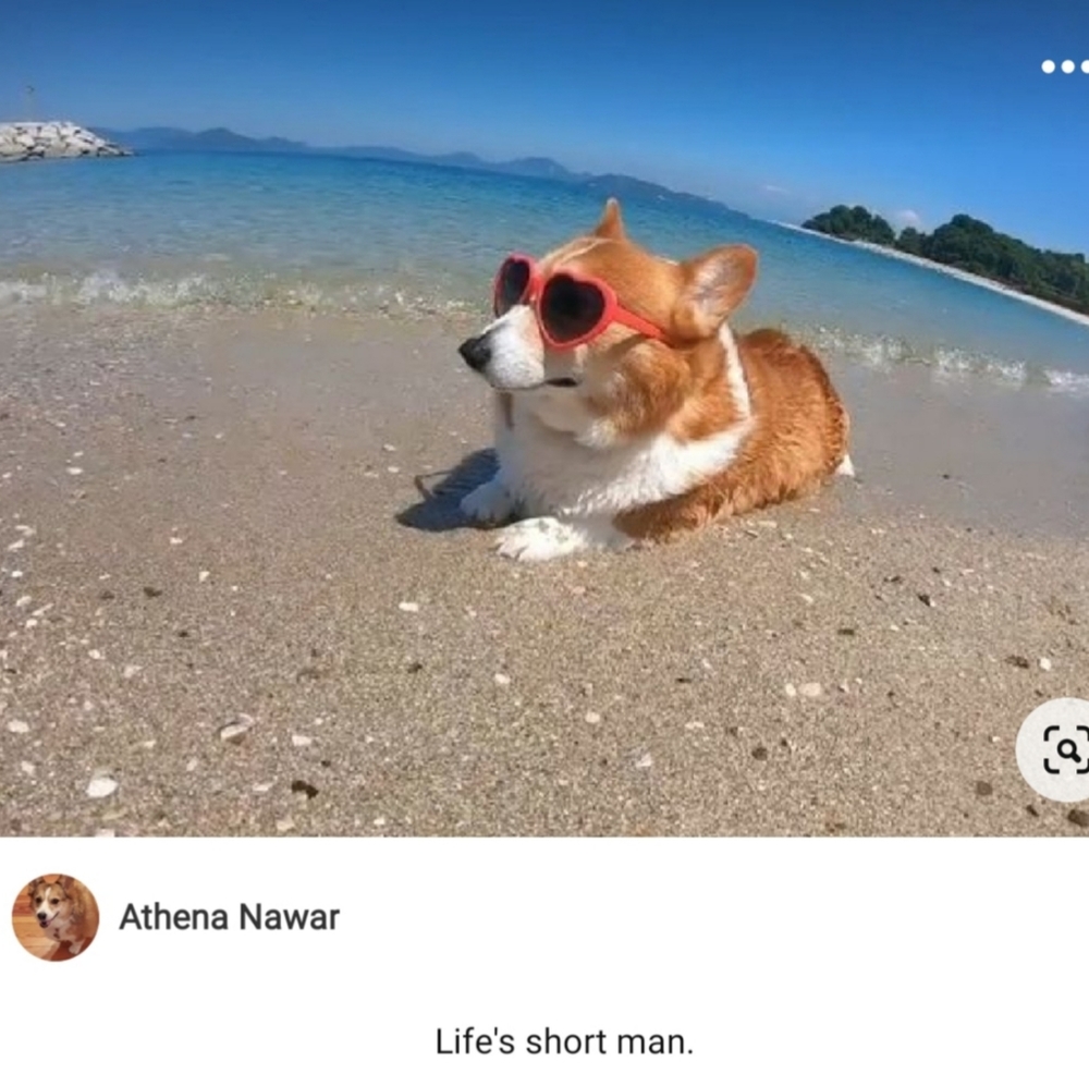 Life's short man.